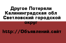 Другое Потеряли. Калининградская обл.,Светловский городской округ 